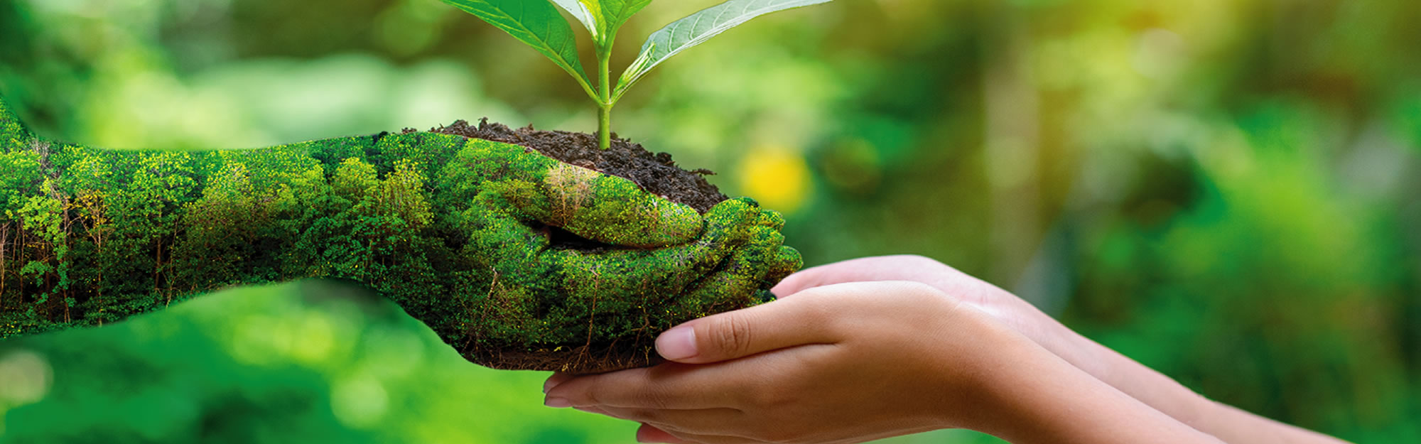 Briefing_meteorologico